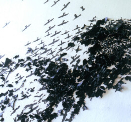 CELINA GONZALEZ SUEYRO