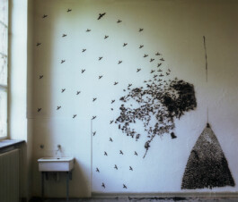 CELINA GONZALEZ SUEYRO