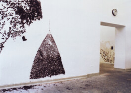 CELINA GONZALEZ SUEYRO