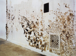 CELINA GONZALEZ SUEYRO