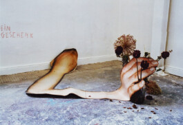 CELINA GONZALEZ SUEYRO