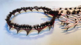 CELINA GONZALEZ SUEYRO