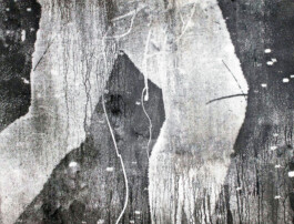 CELINA GONZALEZ SUEYRO