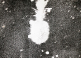 CELINA GONZALEZ SUEYRO