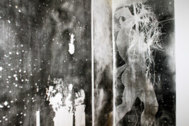 CELINA GONZALEZ SUEYRO