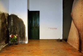 CELINA GONZALEZ SUEYRO