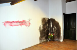 CELINA GONZALEZ SUEYRO