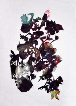 CELINA GONZALEZ SUEYRO