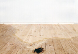 CELINA GONZALEZ SUEYRO