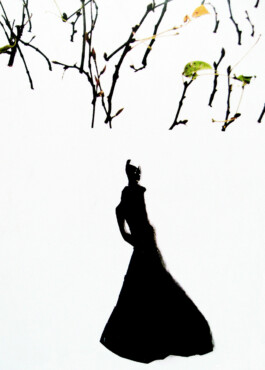 CELINA GONZALEZ SUEYRO