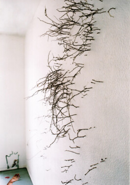 CELINA GONZALEZ SUEYRO