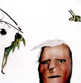 CELINA GONZALEZ SUEYRO