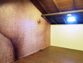 CELINA GONZALEZ SUEYRO