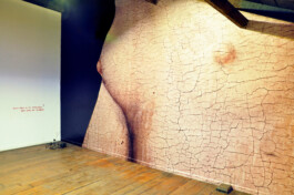 CELINA GONZALEZ SUEYRO