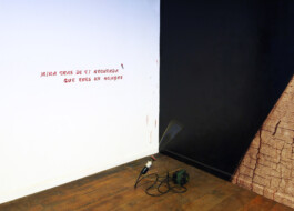 CELINA GONZALEZ SUEYRO