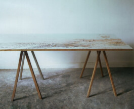 CELINA GONZALEZ SUEYRO