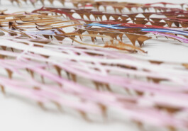 CELINA GONZALEZ SUEYRO