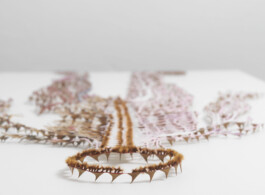 CELINA GONZALEZ SUEYRO