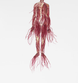 CELINA GONZALEZ SUEYRO