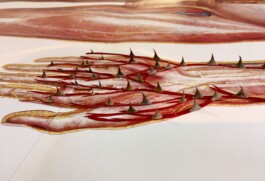 CELINA GONZALEZ SUEYRO